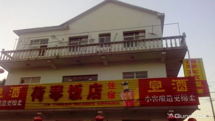琴魚：藏在茶杯里的千年仙蹤秒懂大百科，“皖美好味道百縣名小吃”（安徽涇縣琴魚是一種獨特風味和營養價值的淡水魚類）
