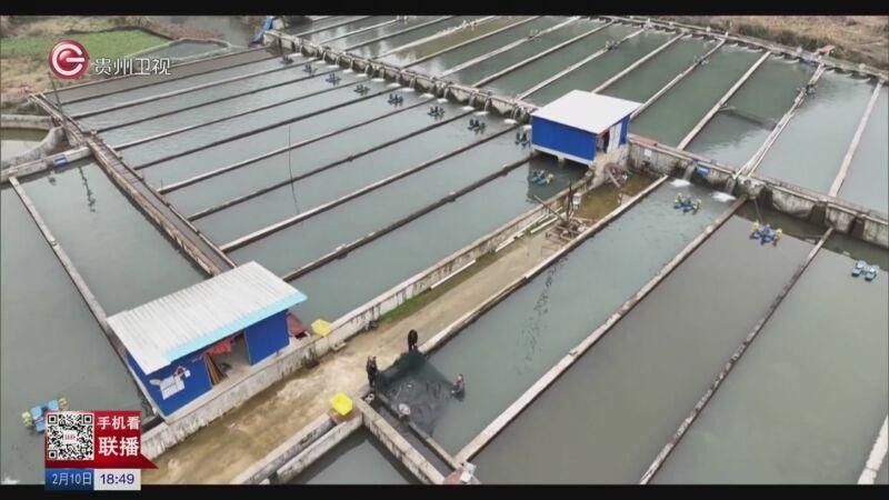 貴州省內(nèi)主要的冷水魚養(yǎng)殖基地有哪些？（貴州省內(nèi)主要的冷水魚養(yǎng)殖基地）