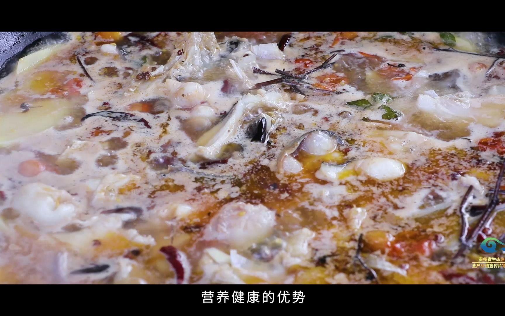 貴州省內(nèi)主要的冷水魚養(yǎng)殖基地有哪些？（貴州省內(nèi)主要的冷水魚養(yǎng)殖基地）