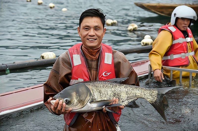 貴州省內(nèi)主要的冷水魚養(yǎng)殖基地有哪些？（貴州省內(nèi)主要的冷水魚養(yǎng)殖基地）