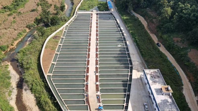 貴州省內(nèi)主要的冷水魚養(yǎng)殖基地有哪些？（貴州省內(nèi)主要的冷水魚養(yǎng)殖基地）