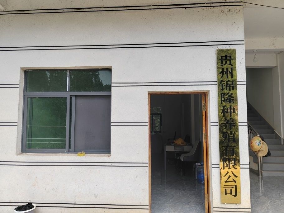 貴州省內(nèi)主要的冷水魚養(yǎng)殖基地有哪些？（貴州省內(nèi)主要的冷水魚養(yǎng)殖基地）