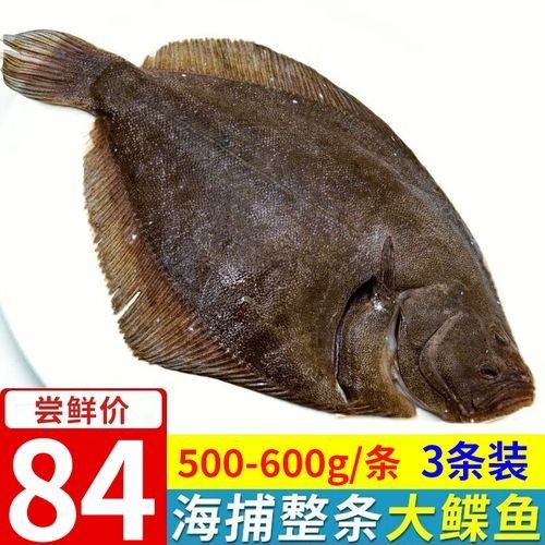 鰈魚海鮮批發、促銷價格、產地貨源（青島馬路邊煎鰈魚25元一條嗶哩嗶哩嗶哩嗶哩）