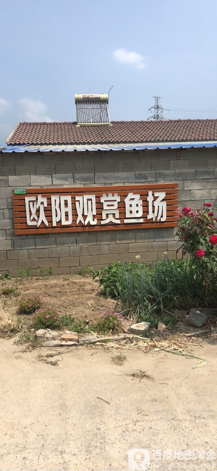 銅山地區龍魚養殖場信息：銅山龍魚養殖場信息（銅山區龍魚養殖場有哪些？）