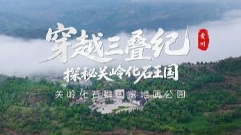 貴州關嶺魚龍化石，探尋生命演化奧秘（貴州關嶺魚龍化石在貴州省關嶺縣）