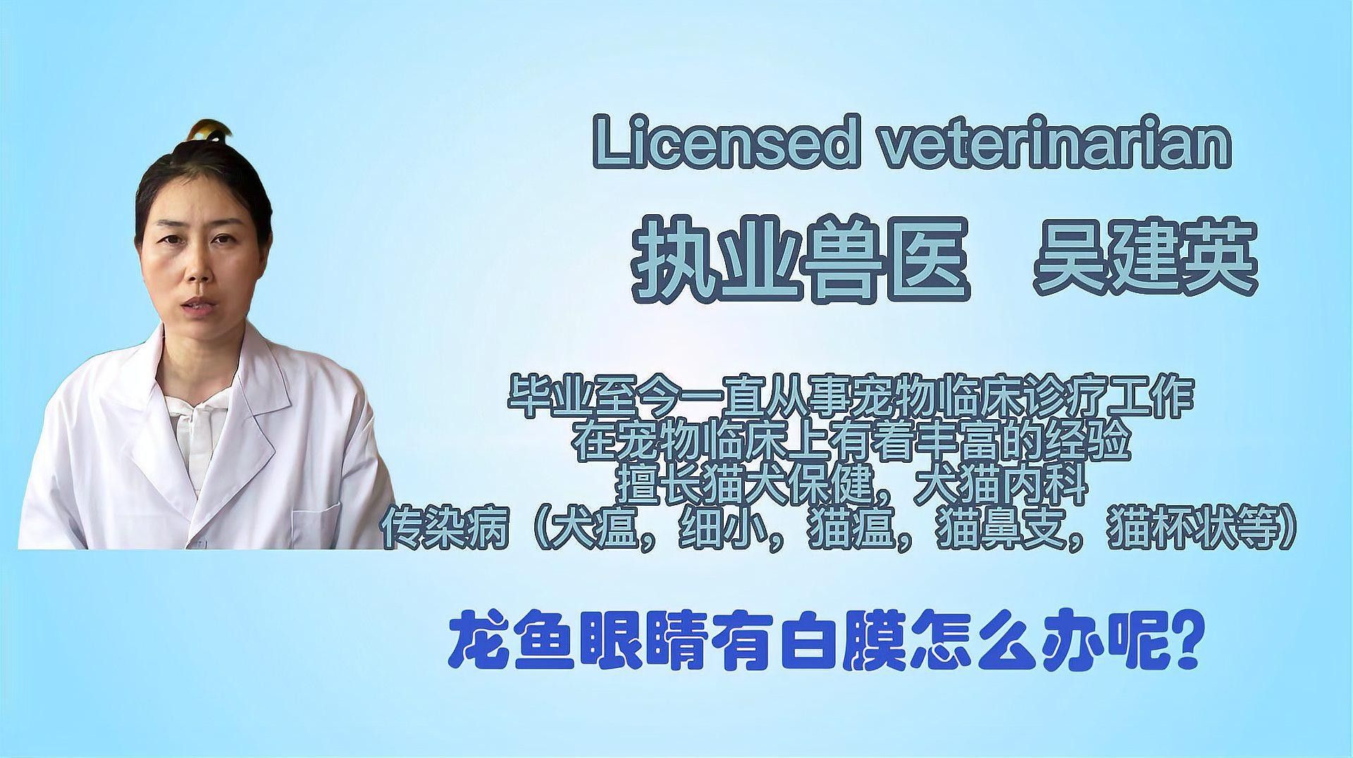 龍魚蒙眼，龍魚眼睛有白膜是什么原因（龍魚眼睛出現白色絮狀物是什么原因塔斯夜揚龍魚眼睛有白膜怎么辦）