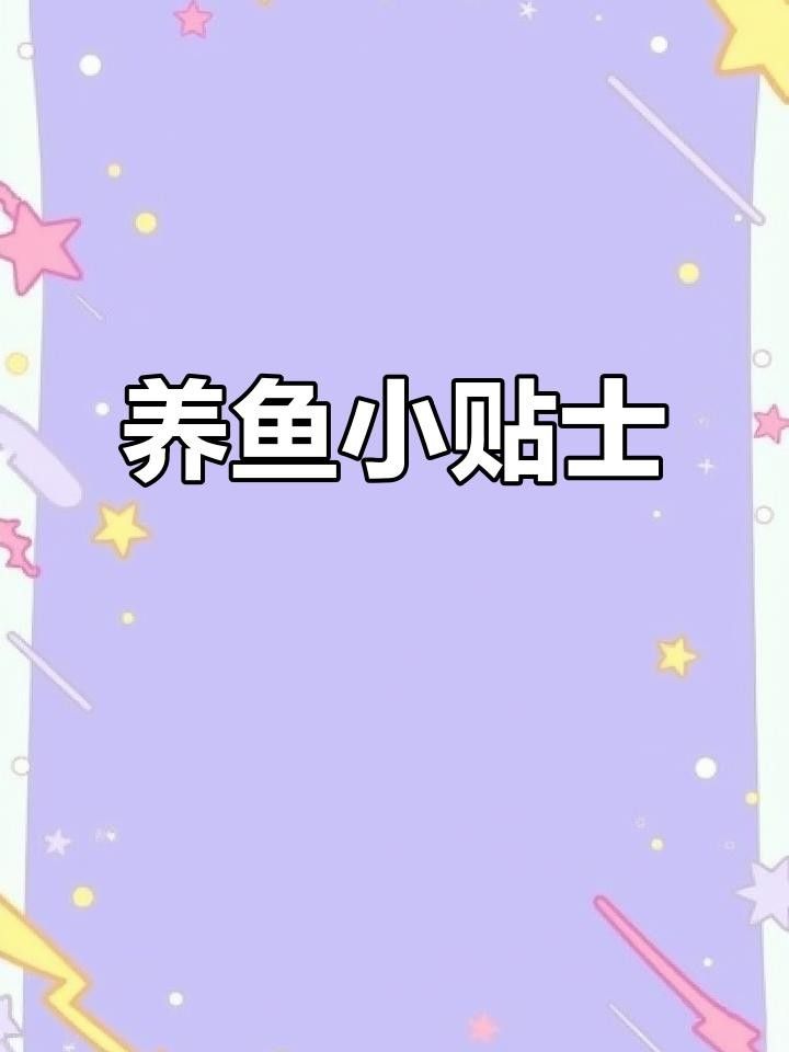 龍魚生病期間如何喂食？龍魚生病期間應該吃什么食物？（魚在生病期間喂食需要謹慎處理的問題，龍魚喂食誤區）