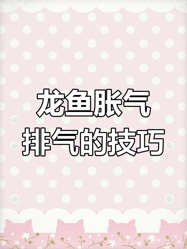 龍魚脹氣是怎么回事（龍魚突然脹氣可能是三種疾病引起的） 龍魚脹氣是怎么回事（龍魚突然脹氣可能是三種疾病引起的） 觀賞魚百科 第2張