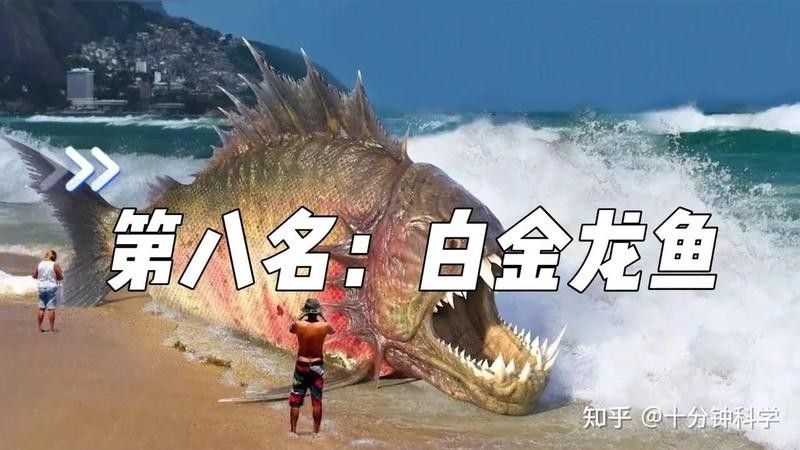 白金龍魚多少錢余姚饞客雷達十大最貴金龍魚觀測站（世界上十大最貴的觀賞魚，第一售價超過400萬）
