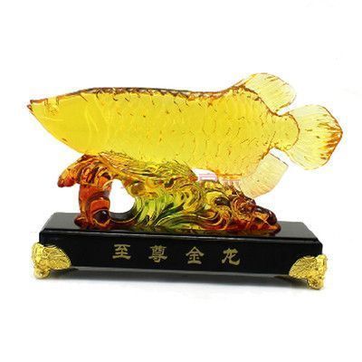 銀板魚種類圖片大全-打造美麗水族世界（大全-打造美麗水族世界觀賞魚銀板魚種類圖片大全）