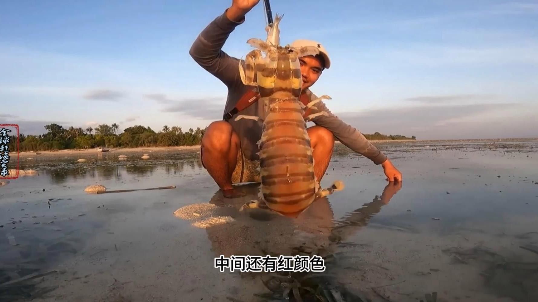 印尼有哪些著名的海產品加工制品，如何辨別印尼的真偽（印尼有哪些海產品）