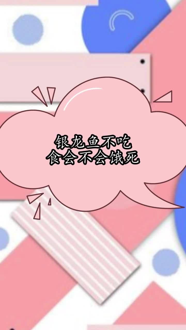銀龍魚不吃食會死嗎？（銀龍魚不吃食會不會餓死，你清楚了嗎）