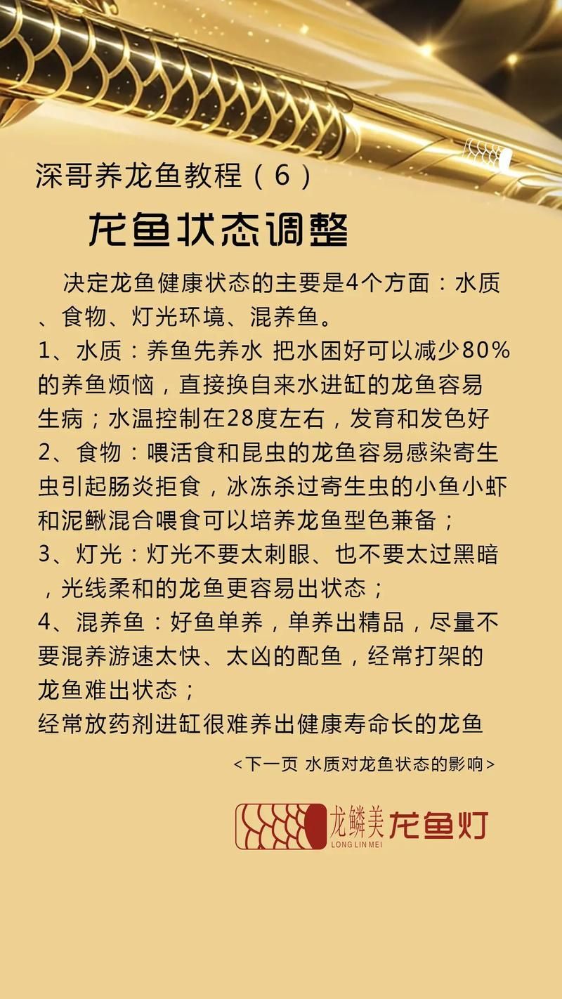 如何預防龍魚內寄復發？（龍魚內寄復發預防）