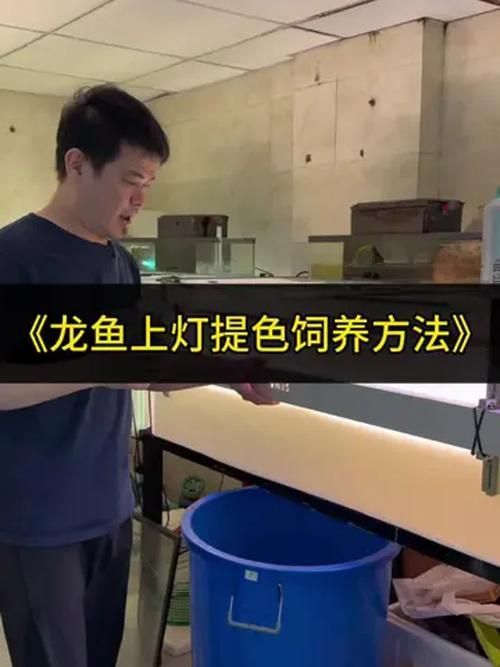 使用龍魚增色燈多久能看到效果？（按月劃分的龍魚燈光管理計劃表，龍魚增色燈品牌推薦）
