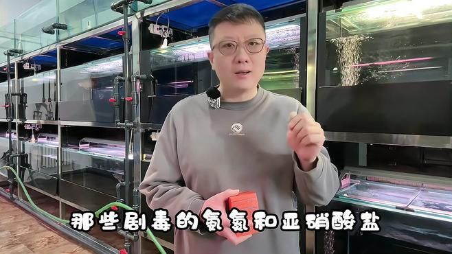 黃粉對龍魚的其他疾病有治療效果嗎？（黃粉對龍魚的副作用有哪些？）