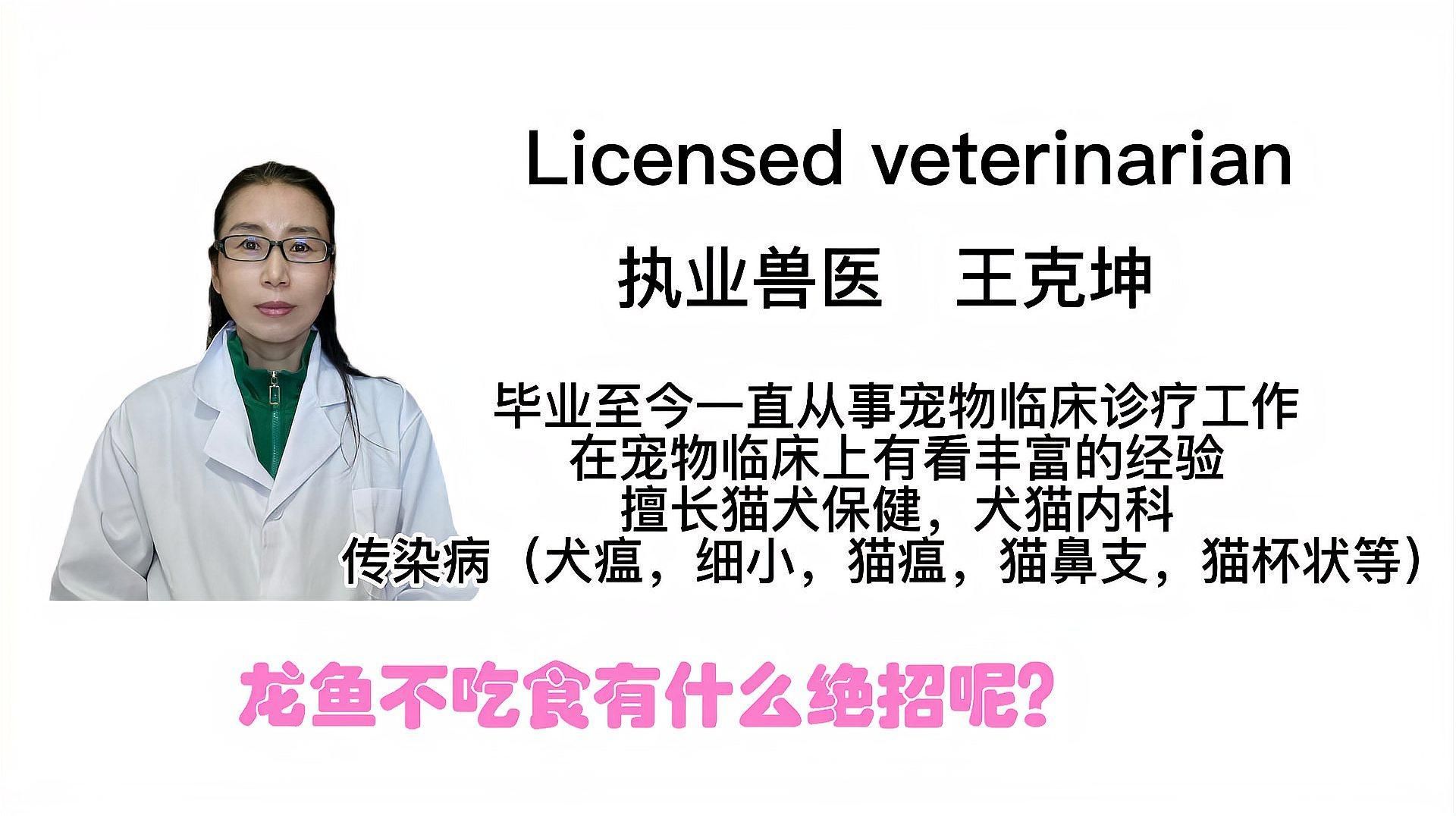 龍魚拒食時應該如何應對？（如何應對龍魚拒食）
