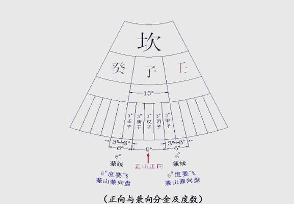 三元龍魚有哪些獨特的花紋？（三元龍魚是什么？）