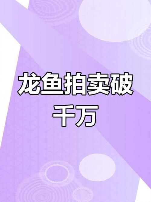 云龍魚的市場價格是多少？（云龍魚的市場價格走勢）