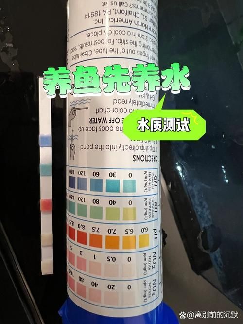 如何檢測水質是否適合龍魚？（arxiv論文助手arxiv論文助手檢測水質是否適合龍魚）