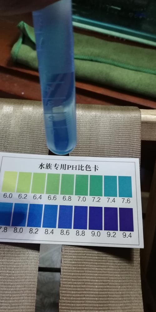 如何檢測水質是否適合龍魚？（arxiv論文助手arxiv論文助手檢測水質是否適合龍魚）