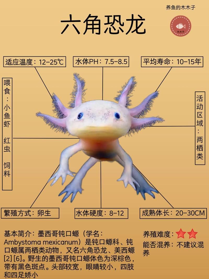 六腳恐龍魚(yú)的繁殖過(guò)程是怎樣的？（六腳恐龍魚(yú)的繁殖過(guò)程）