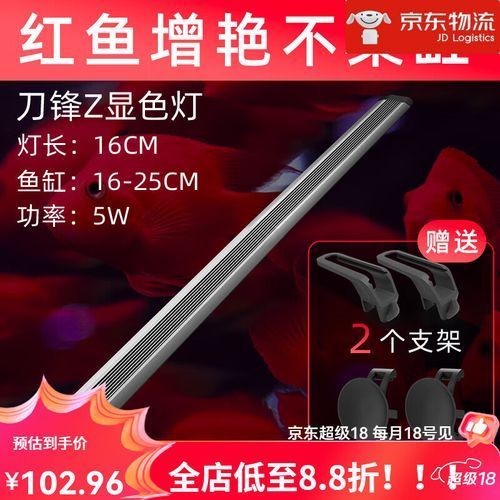 給我推薦幾款性價比高的紅龍魚專用燈（幾款性價比高的紅龍魚專用燈具推薦）