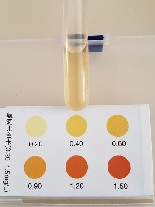 如何預防龍魚脹肚的發生？（arxiv論文助手arxiv論文助手（arxiv論文助手）） 如何預防龍魚脹肚的發生？（arxiv論文助手arxiv論文助手（arxiv論文助手）） 龍魚百科 第5張