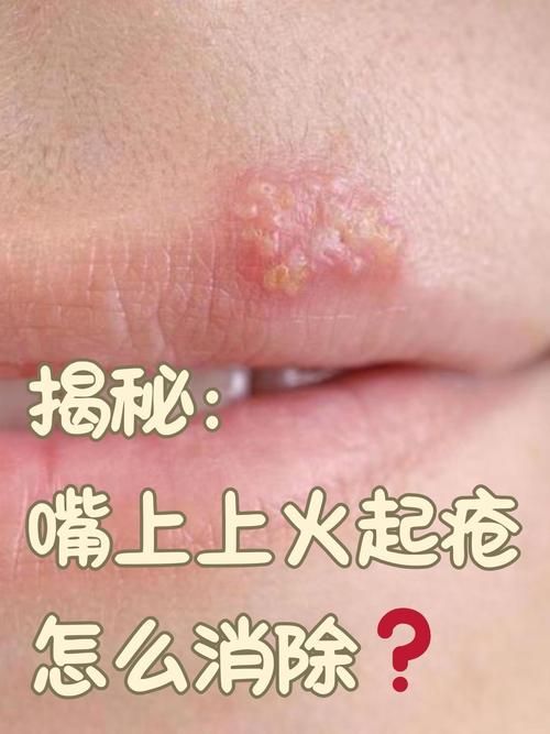 金龍魚祥龍魚場的聯系方式,金龍魚祥龍魚場怎么聯系 龍魚百科 第1張 金龍魚祥龍魚場的聯系方式,金龍魚祥龍魚場怎么聯系 金龍魚祥龍魚場的聯系方式,金龍魚祥龍魚場怎么聯系 龍魚百科 第1張