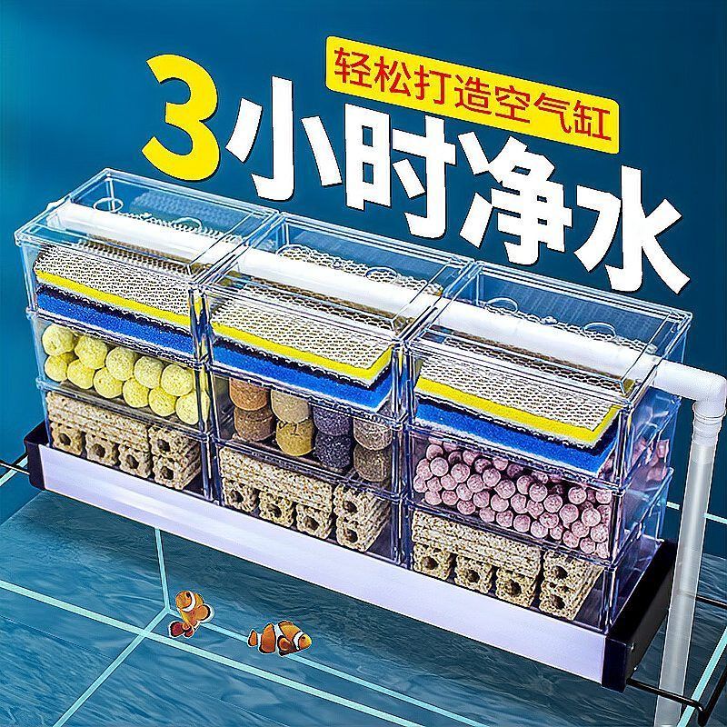 龍魚的過濾系統應該如何調試？（龍魚過濾系統的調試）