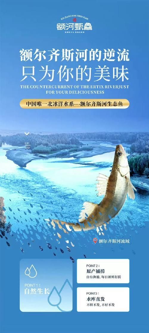 新疆雪龍魚和龍頭魚有什么區別？（新疆雪龍魚與龍頭魚的區別）