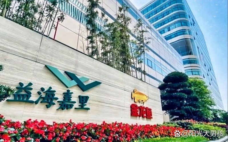金龍魚高管的薪酬結(jié)構(gòu)是怎樣的？（金龍魚高管的薪酬結(jié)構(gòu)包括基本工資、績效獎金、長期激勵計劃和福利待遇）