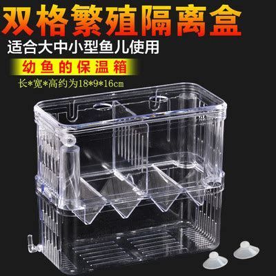 如何判斷龍魚幼崽的健康狀況？（如何判斷龍魚幼崽健康狀況）