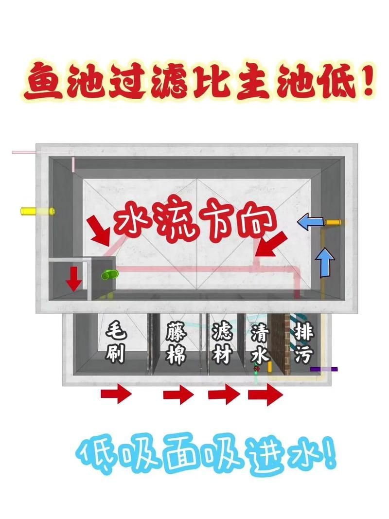 如何預防金龍魚炸鱗病的發生？（金龍魚炸鱗病、立鱗病、立鱗病、立鱗病的系統性預防指南）