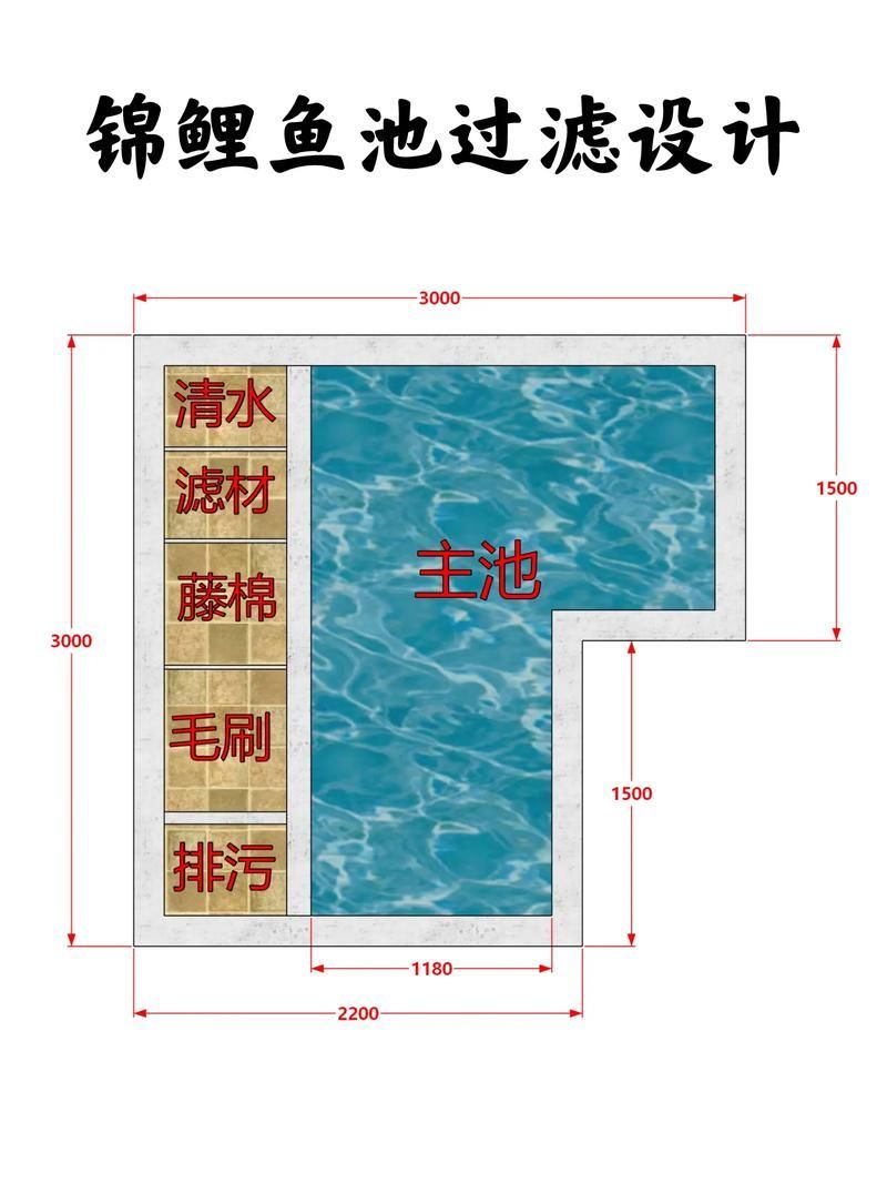 如何預防金龍魚炸鱗病的發生？（金龍魚炸鱗病、立鱗病、立鱗病、立鱗病的系統性預防指南）