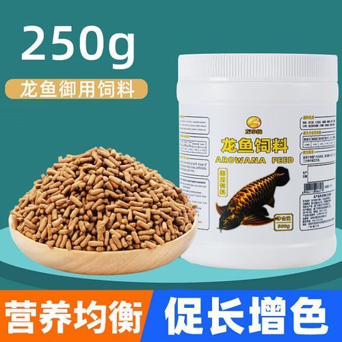 泗水龍魚的養殖技術有哪些？（泗水龍魚養殖技術）
