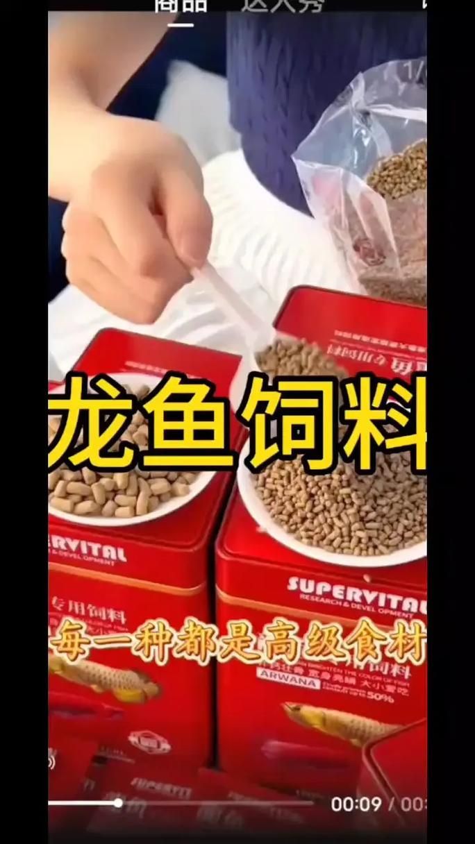 泗水龍魚的養殖技術有哪些？（泗水龍魚養殖技術）