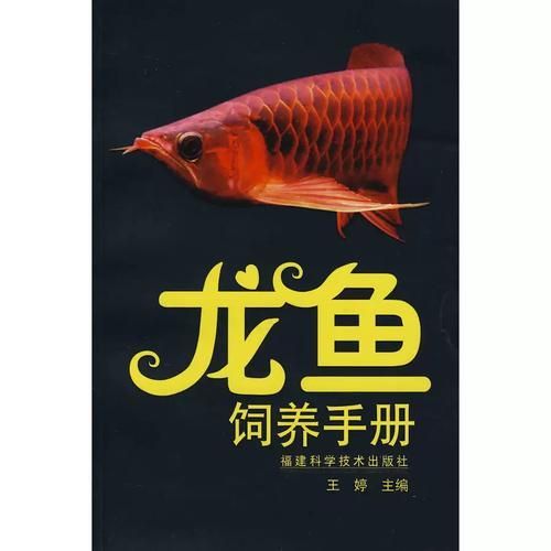 哪里可以購買到王婷編的龍魚飼養手冊？（婷編的《龍魚飼養手冊》是一本專門介紹和照顧龍魚的專業書籍）
