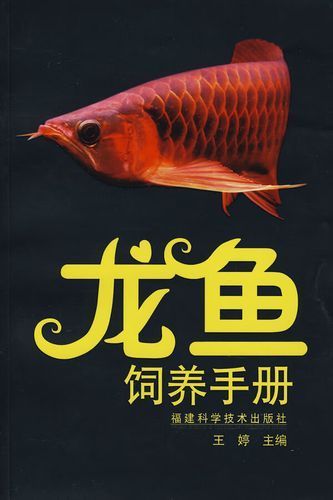 哪里可以購買到王婷編的龍魚飼養手冊？（婷編的《龍魚飼養手冊》是一本專門介紹和照顧龍魚的專業書籍）