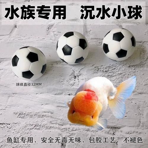 如何選擇適合龍魚的防掉眼漂浮球？（如何選擇適合龍魚的防掉眼漂浮球）