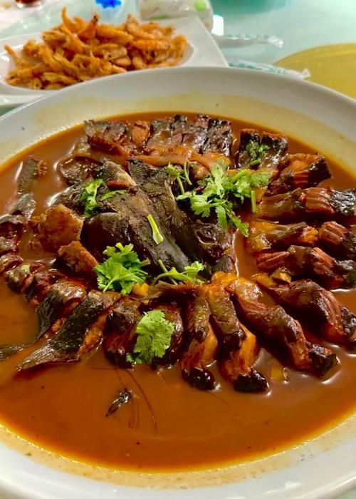 化州龍魚有哪些功效（化州龍魚、龍魚、龍躉魚的藥用功效主要產于中國廣東省化州龍魚）