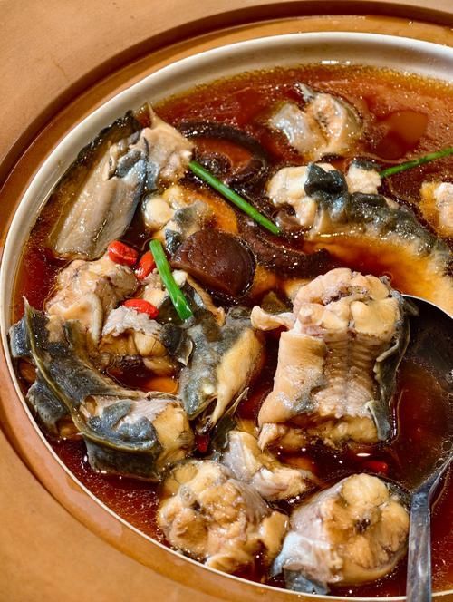 化州龍魚有哪些功效（化州龍魚、龍魚、龍躉魚的藥用功效主要產于中國廣東省化州龍魚）