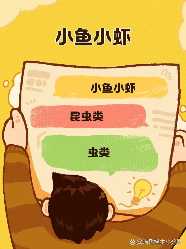 金龍魚飼養需要哪些注意事項？（新手養金龍魚全攻略） 金龍魚飼養需要哪些注意事項？（新手養金龍魚全攻略） 龍魚百科 第3張