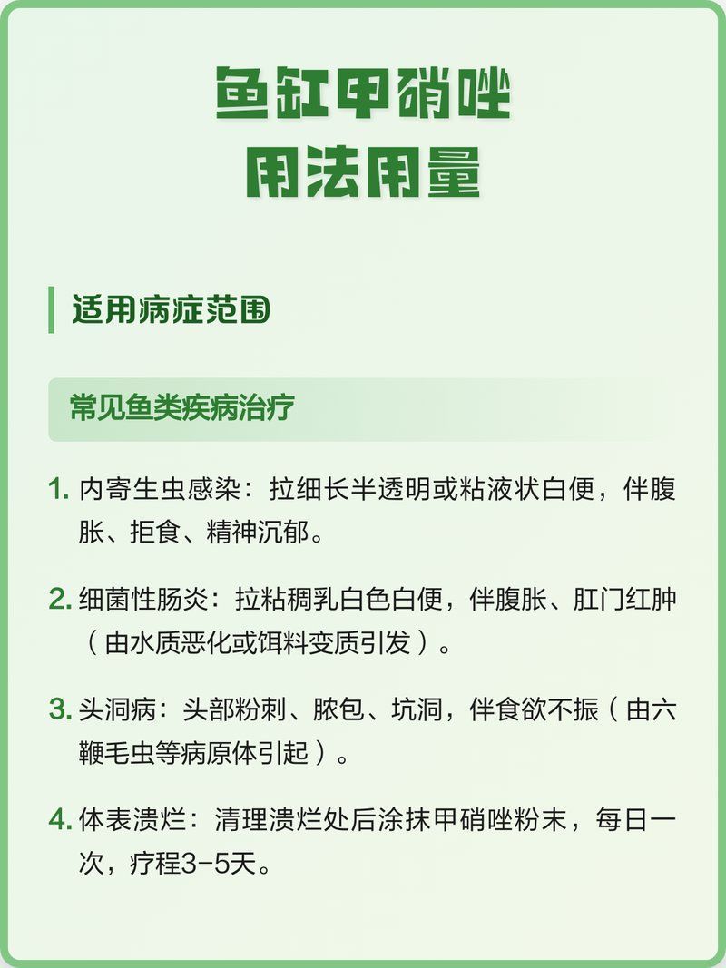 哪種藥物治療龍魚嚴重疾病最有效？（關于龍魚嚴重疾病治療的建議） 哪種藥物治療龍魚嚴重疾病最有效？（關于龍魚嚴重疾病治療的建議） 龍魚百科 第8張