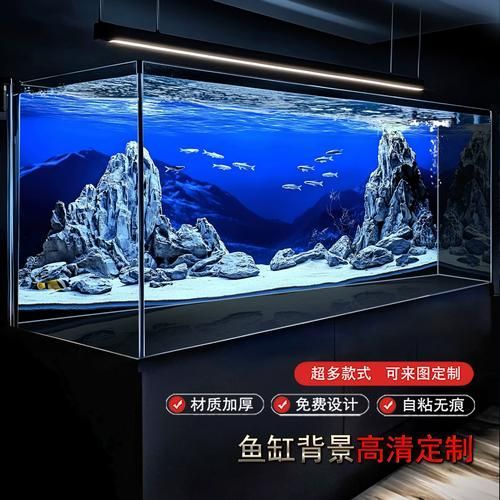 有哪些方法可以改善龍魚的磨缸習性?(北京自來水龍魚磨缸習性(1000字和配圖解釋)) 龍魚百科 第4張 有哪些方法可以改善龍魚的磨缸習性?(北京自來水龍魚磨缸習性(1000字和配圖解釋)) 有哪些方法可以改善龍魚的磨缸習性?(北京自來水龍魚磨缸習性(1000字和配圖解釋)) 龍魚百科 第4張