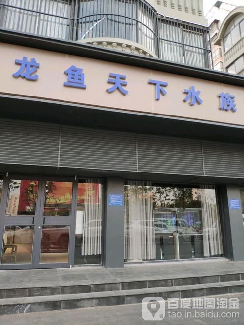 和縣龍魚的價(jià)格是多少？（“和縣龍魚”觀賞魚交易集散地價(jià)格分布、高價(jià)值品種價(jià)格）