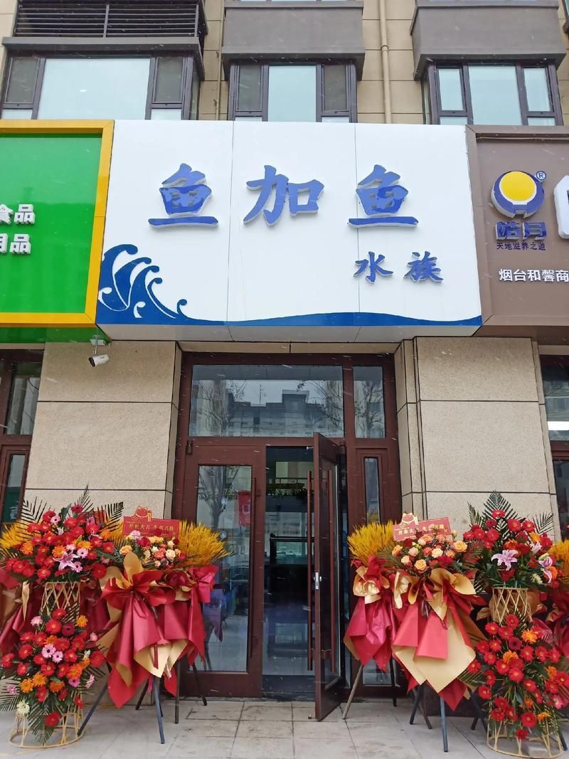 和縣龍魚的價(jià)格是多少？（“和縣龍魚”觀賞魚交易集散地價(jià)格分布、高價(jià)值品種價(jià)格）