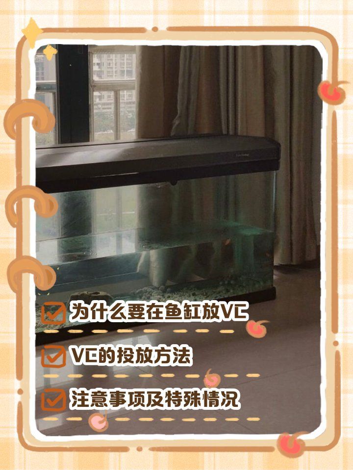 龍魚厭食時應該如何補充維生素？（龍魚厭食如何補充維生素）