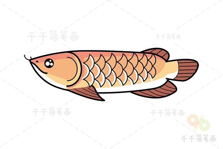 能提供一張深海龍魚的簡筆畫圖片嗎？（深海龍魚的簡筆畫圖片）
