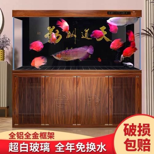 給我推薦幾款性價比高的龍魚魚缸（5款性價比高的龍魚魚缸，性價比高的龍魚魚缸）