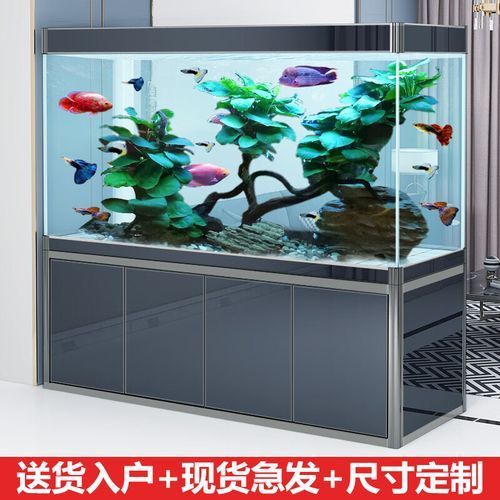給我推薦幾款性價比高的龍魚魚缸（5款性價比高的龍魚魚缸，性價比高的龍魚魚缸）
